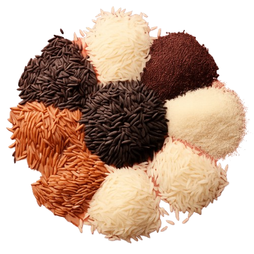 ChatGPT_Image_Feb_17__2026__01_20_15_AM removebg preview