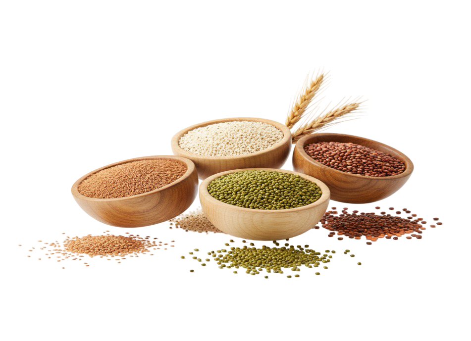 Gemini_Generated_Image_iel8b1iel 4 1